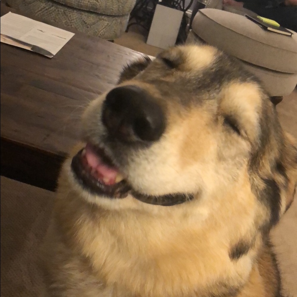 Meet your Posher, Marta